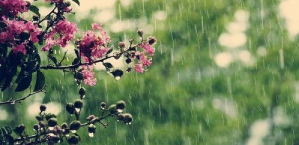 Hava yenidən dəyişir - Yağış yağacaq, leysan olacaq