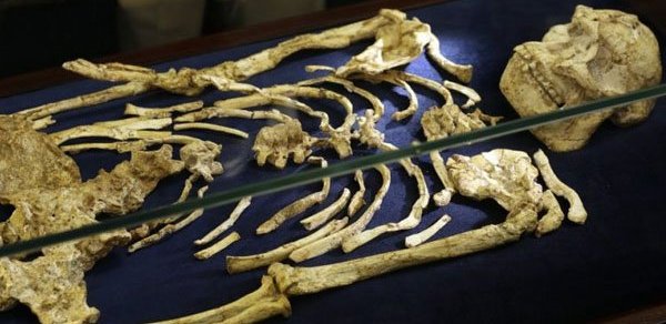 Bakıda evdən skeletləşmiş qadın meyiti tapıldı