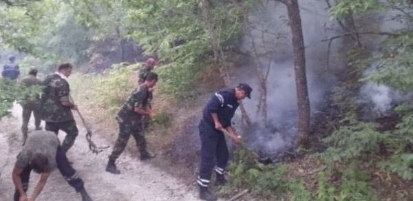 FHN: "Şimal bölgəsindəki meşə yanğınının qarşısı alınıb" - FOTOLAR