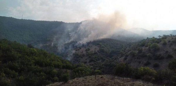 Gürcüstanda azərbaycanlıların yaşadığı kənddə yanğın baş verib