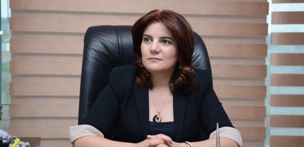 "Saytların fəaliyyəti şirkətin özü tərəfindən dayandırılıb" - "APA Holdinq"in prezidenti