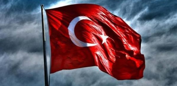 SOSİAL