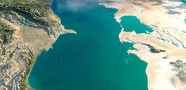 SİYASƏT