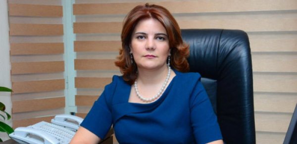 “APA Holding” fəaliyyətini tamamilə dayandırdı