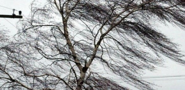 Hava dəyişəcək, temperatur 5-8 dərəcə aşağı enəcək - XƏBƏRDARLIQ