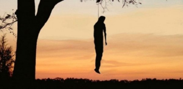 Meşədə asılmış vəziyyətdə tapılmış nazirlik işçisinin ölümünün TƏFƏRRÜATI