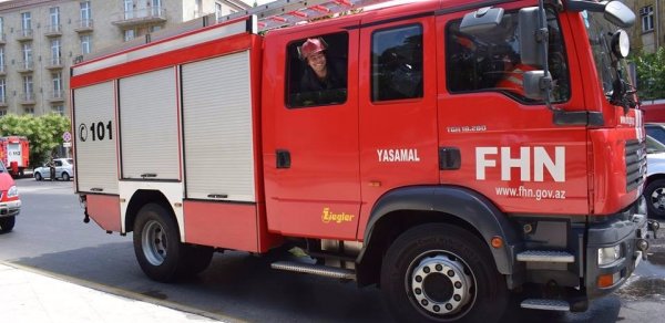 FHN Qəbələdəki yanğınla bağlı məlumat yaydı