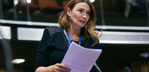 Deputat dövlət qurumlarına çağırış etdi: Buna ehtiyac var