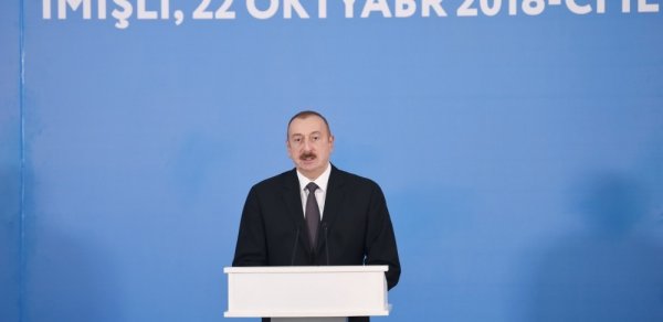 “Hər il 100 mindən çox uşaq doğulur, bu da bizim sərvətimizdir”