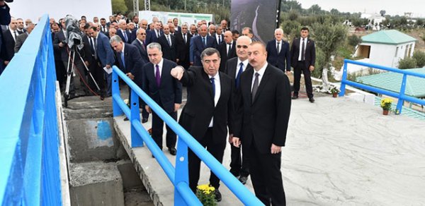 SİYASƏT