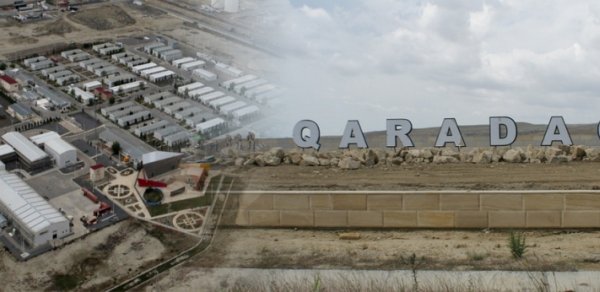 Qaradağ icra nümayəndəliyində keçilər gəzir - VİDEO