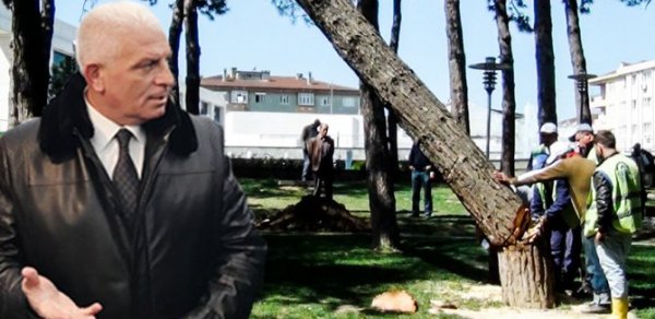 SOSİAL
