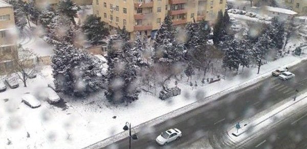 SOSİAL