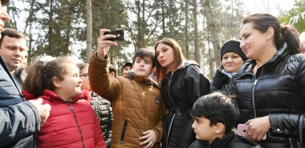 SİYASƏT