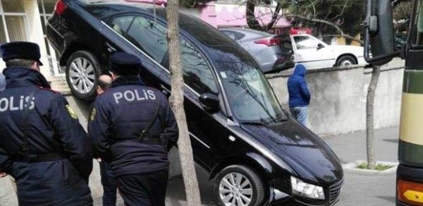 SOSİAL