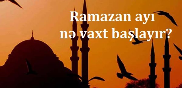 SOSİAL