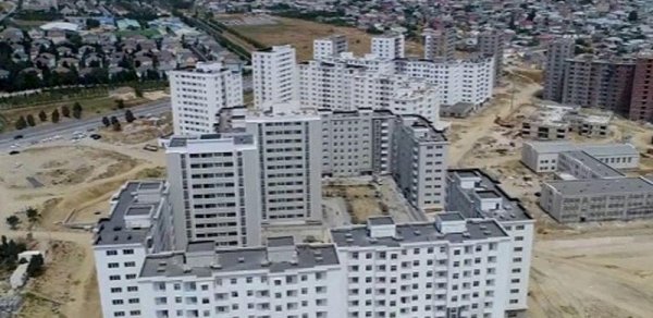 SOSİAL