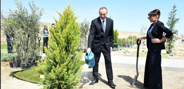 SOSİAL