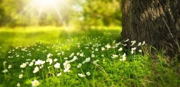 İstirahət günlərində hava necə olacaq?