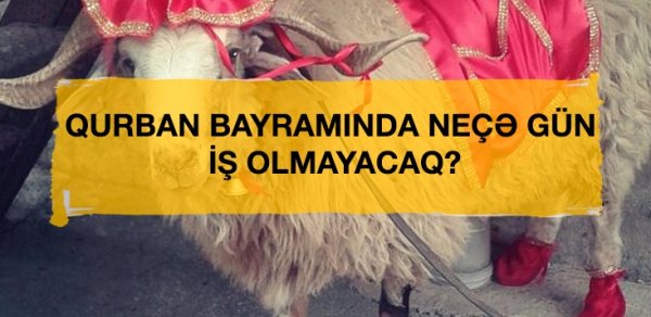 SOSİAL