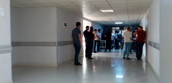 SOSİAL