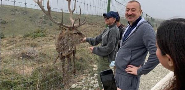 SOSİAL