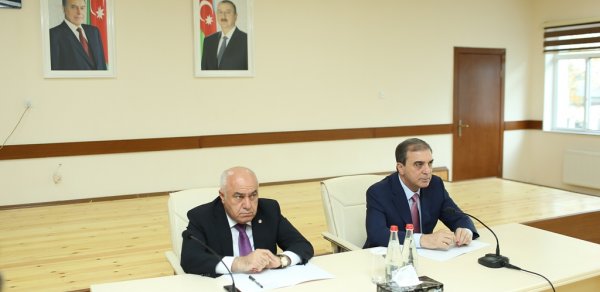 SİYASƏT