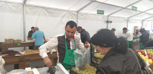SOSİAL