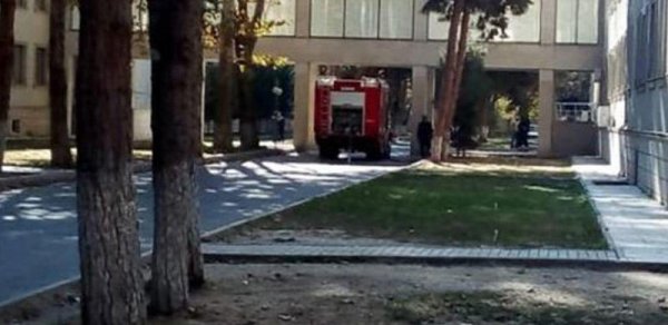 SOSİAL