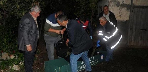 SOSİAL