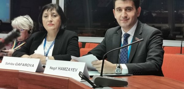 Naqif Həmzəyev ASPA-da yeni vəzifəyə seçildi