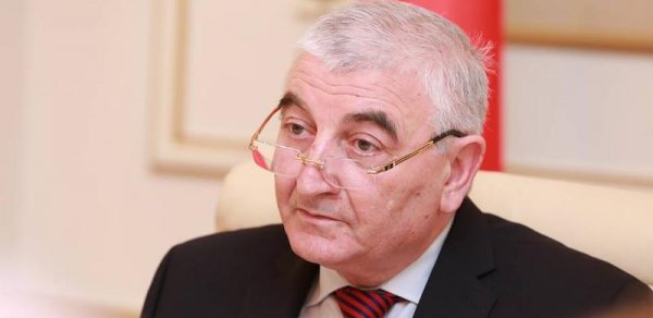 Bir qrup namizəd MSK-nın önündə aksiya keçirib, - Məzahir Pənahov polisə müraciət etdi