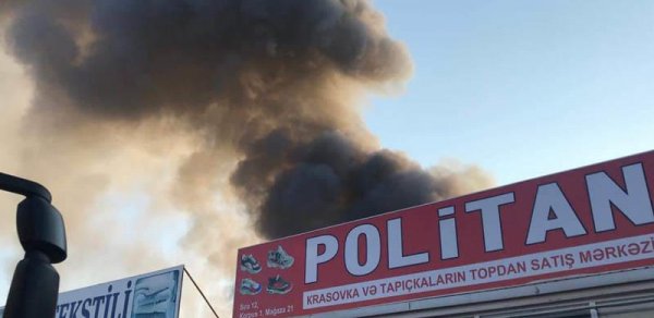 SOSİAL