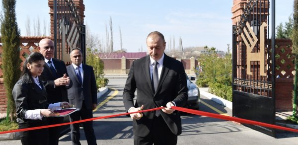 SOSİAL
