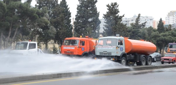 SOSİAL