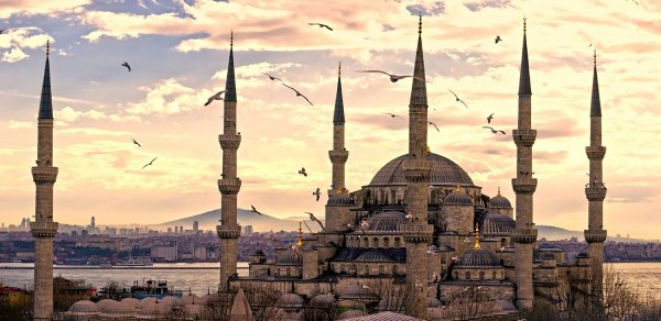 SOSİAL