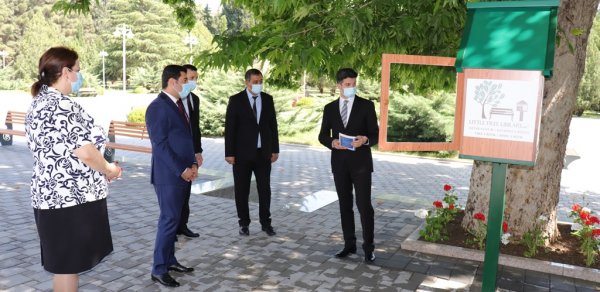 SOSİAL