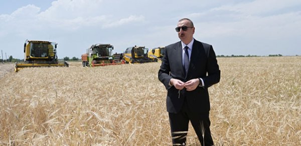 SOSİAL