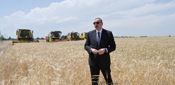 SOSİAL