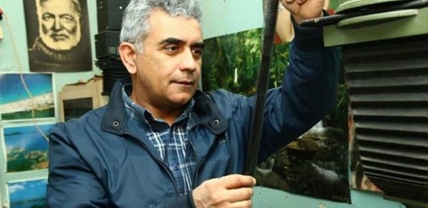 SOSİAL