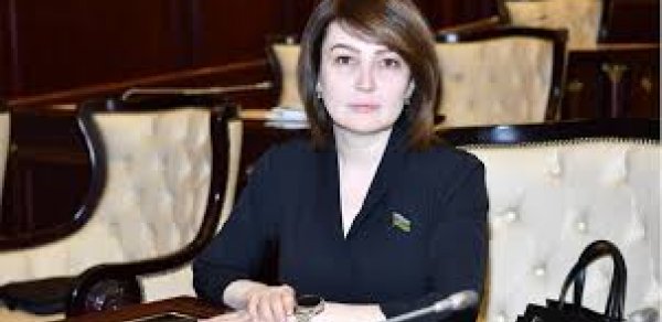 Deputat: “Sosial şəbəkələrə giriş şəxsiyyət vəsiqəsi ilə olmalıdır”