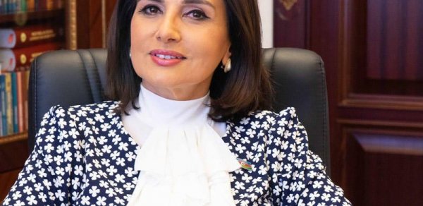 Milli Məclis Jalə Əliyeva ilə bağlı məlumat yaydı