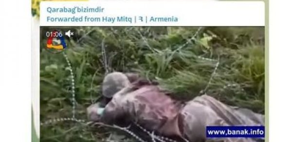 SİYASƏT