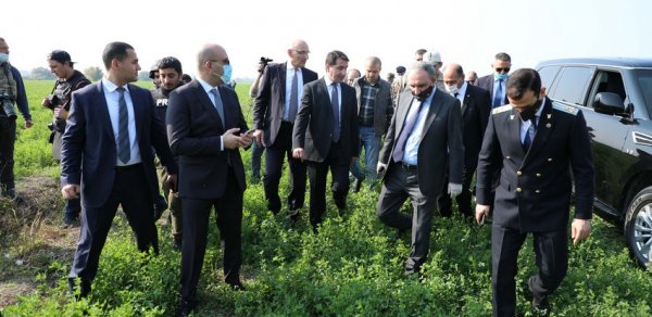 SİYASƏT