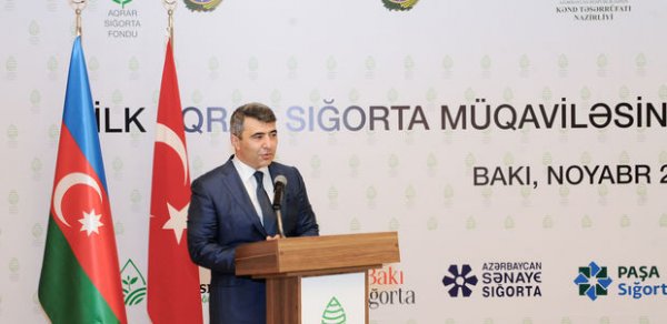 SİYASƏT