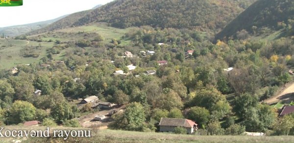 SOSİAL
