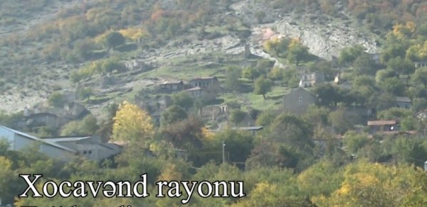 SOSİAL