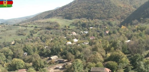 SİYASƏT