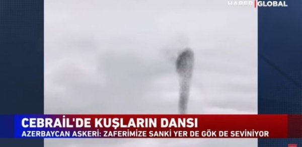 SOSİAL