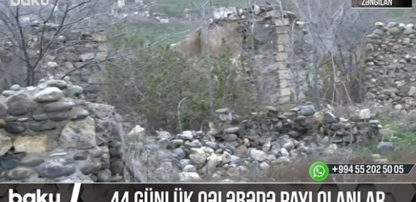 SOSİAL